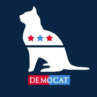 Your average neoliberal political cat... Barack Obama, Bill & Hillary Clinton, and Elizabeth Warren are my role models.