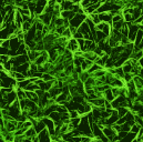 sportdrankjes's profile picture. De app waarmee je de bierpot voor je team kunt beheren!

Een initiatief van @hudito Heren 5, uitgevoerd door @mvreijn, @jeroenvdhoek & @mennovdhorst