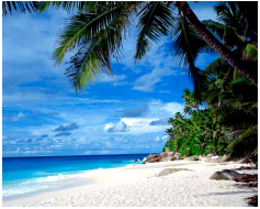 “Travel and change of place impart new vigor to the mind.”