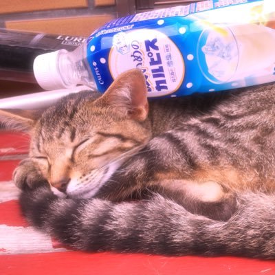 06ka10's profile picture. 釣り大好き人間😃