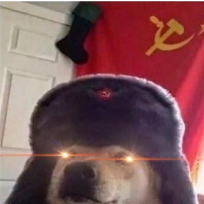 Gabe58524107's profile picture. Oof