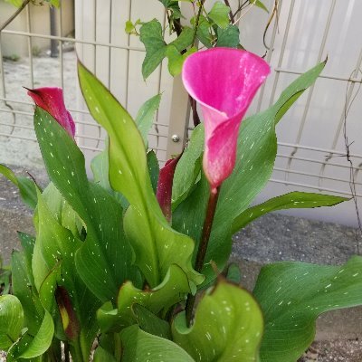 teFj99zDRdUfaEZ's profile picture. 病院に勤務しながら将来の生活の安定のために資産運用を始めました。資産運用を楽しみながら、また、自分の世界を広げていきたいと考えています。ネットの世界も楽しいですが病院での勤務も重要でどちらも充実させていきたいと考えています。宜しくお願いします。