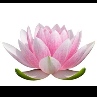 CLAbella82's profile picture. 