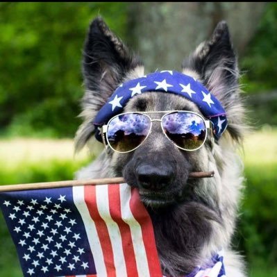 Mother, Grandma, IBMer, GSD furkids, Patriot 🇺🇸