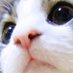 @8HsExpsecW6AWHK