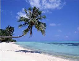 The only thing we love more than the beach - is talking about it!