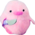 aestheticsock (@apatheticsock) 's Twitter Profile