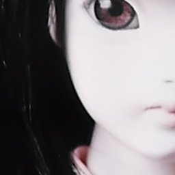 Jin Jin 9977 Twitter Jin Jin 9977 Twitter