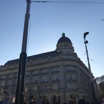 wtfdoyouthis's profile picture. 