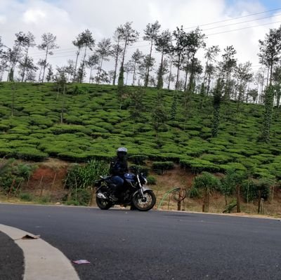 PKotre's profile picture. Engineer