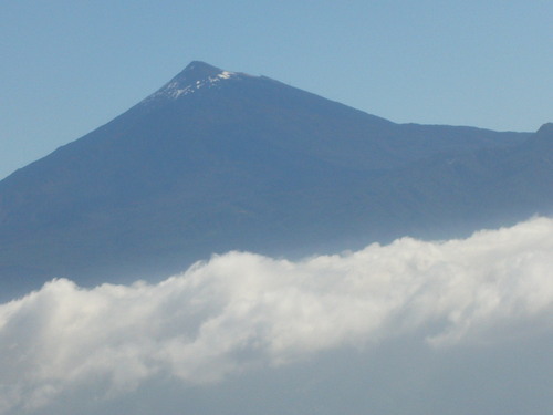 harallee's profile picture. Immer auf den Weg zur Sonne!