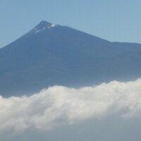 Hara Lee (@harallee) Twitter profile photo