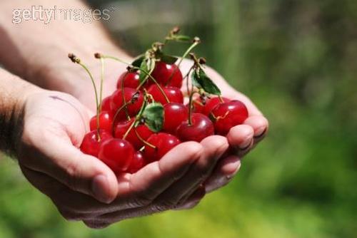 Entrega de HortiFruti em sua casa ou empresa (atacado e varejo).
