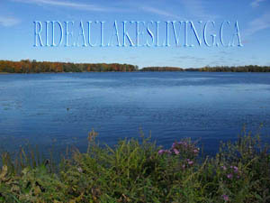 RideauLakesLiv's profile picture. Local News, Websites, Advertising