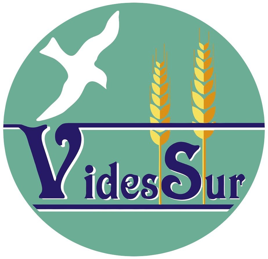 VidessurO's profile picture. Asociación sin ánimo de lucro - Organización No Gubernamental de Cooperación al Desarrollo
