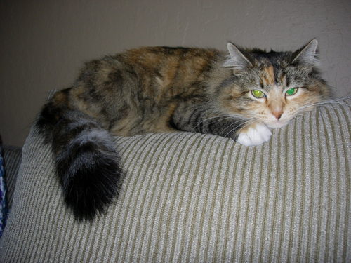 kyrenmylove's profile picture. 