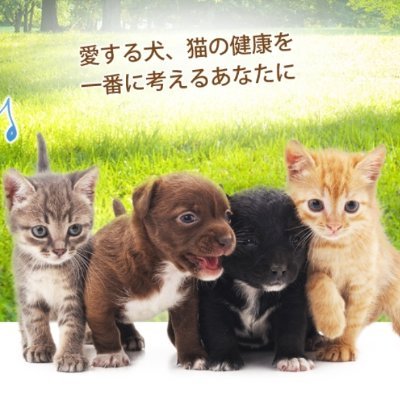 ピュアラックス お皿に出す前に食べちゃいたーい そんなきみが好きー 美味しいごはんには 袋から食べちゃいたくなるよね 笑 ドッグフード コーギー 犬好きさんと繋がりたい 来週はピュアラックスの特徴をツイートしますね 犬ご飯