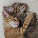 みん - @melody52fair - Twitter