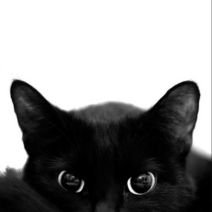 angelavhc's profile picture. Se vive mas feliz, cuando no esperas nada de nadie.