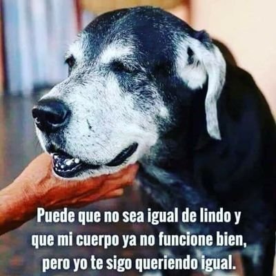 saavedravictor2's profile picture. 