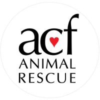 ACF Animal Rescue(@ACFAnimalRescue) 's Twitter Profile Photo