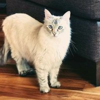 evildupa (@evildupa) 's Twitter Profile