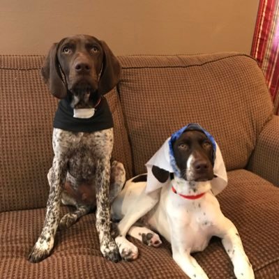 sandy_chem's profile picture. reject the evil one. love everyone else.