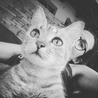 Lu (@looh_soirh) 's Twitter Profile Photo