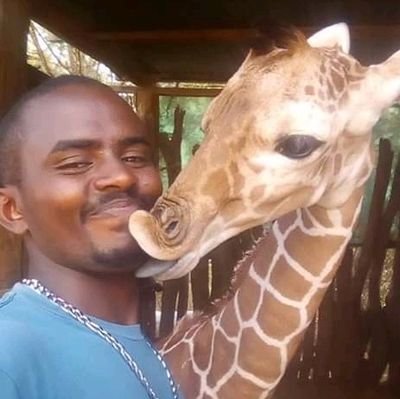 HR officer
Now, the reticulated giraffe researcher
0721479600