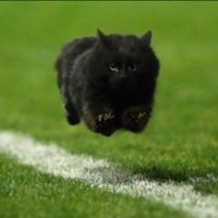 Sharo (@sharoatmeh) 's Twitter Profile