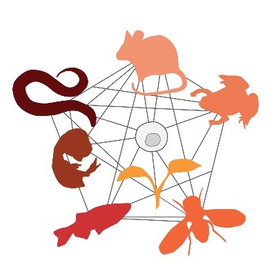 Official account of the French Society for Developmental Biology