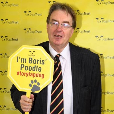 Not John Howell MP ONANist. Smallest majority than ever to do what I like in the Henley Constituency. Supreme organism. Parody.