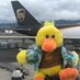 HNL AIR (@airhnl) Twitter profile photo HNL AIR (@airhnl) Twitter profile photo