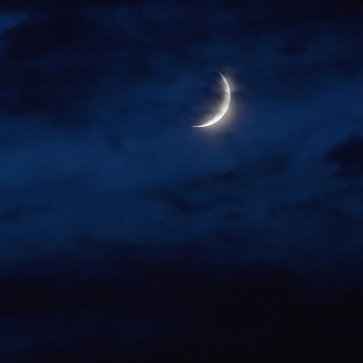 gagangrewal219's profile picture. cool jatti