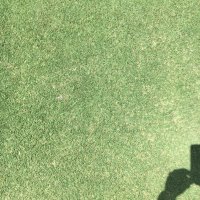 Steve Dorer (@stevedorer) Twitter profile photo