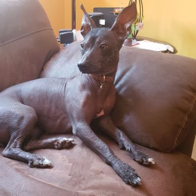 Rodo_Esteban's profile picture. 