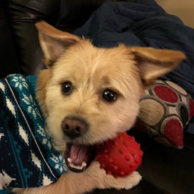AleksandraHuey's profile picture.