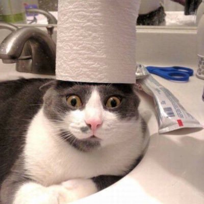 ShanaZup's profile picture. 