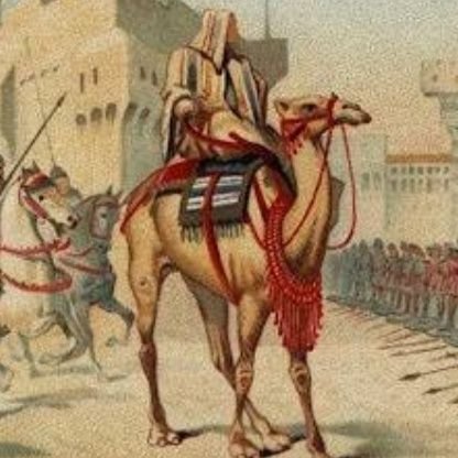 7areth30's profile picture. ‏قارئ للتاريخ السياسي العربي والإسلامي، مؤمن بالربيع.