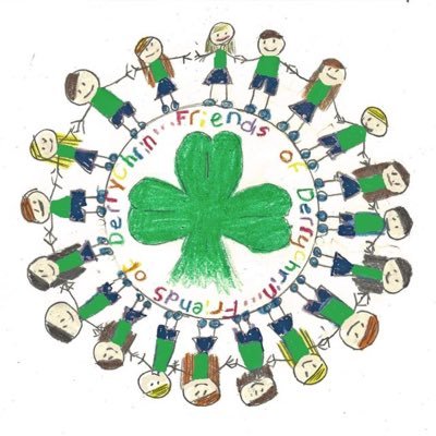 Friends of Derrychrin