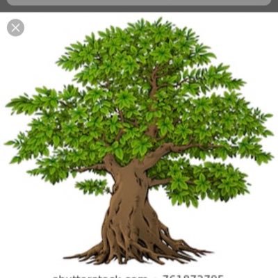 BazNixon's profile picture. 