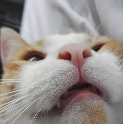 kristnsunshine's profile picture. 🍔🏰