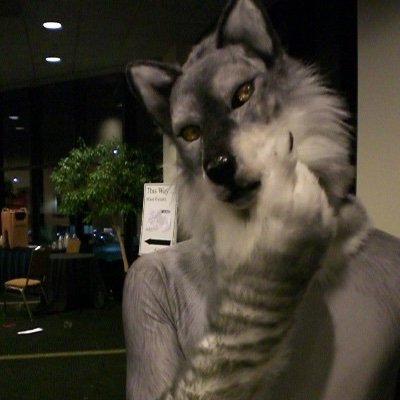 This is an adult/casual profile 18+ ONLY. Straight Male wolf, 30+ y.o. married and ENM