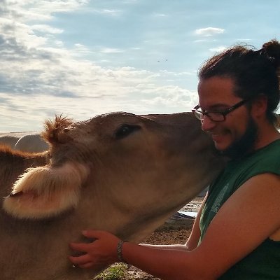Postdoc Ag & Rural History Uni Kassel. Early modern cattle breeding, race, gender & Oeconomic Enlightenment. Also Brown Swiss cows, Baroque choirs & prairies.