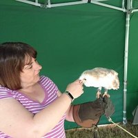 🐈🐾🍀Lisa Chapmen 🍀🌷💐 (@lisachapmen) 's Twitter Profile