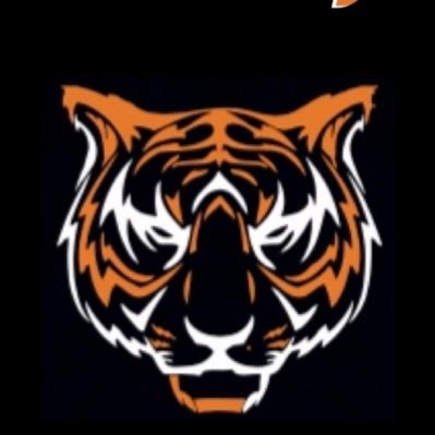 AE da Escola Secundária Dr José Afonso. Liberta o Tigre que há em ti🐯