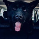 efrain becerra - @EfrainbmEfrain - Twitter