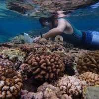 Jess S Glanz (@jsglanz) 's Twitter Profile