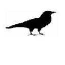 Susan Didier - @Ahasiw - Twitter