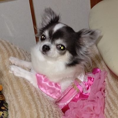 bwgov37NQRzd0qS's profile picture. 